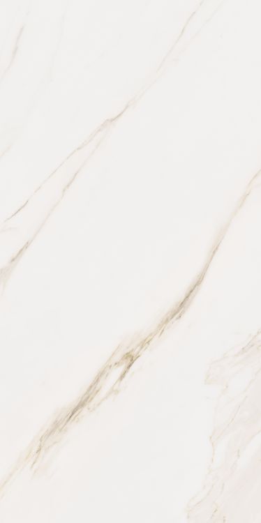 Omnia Calacatta Matte 24 x 48